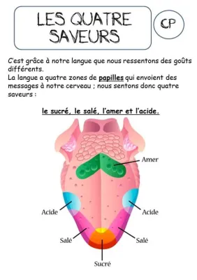  Le Songsao yu : Un délice épicé enrobant des saveurs douces et moelleuses?